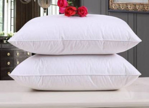 GULSAM Cotton Nature Cushion Pack of 2