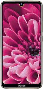 GIONEE F9 (Champagne, 32 GB)