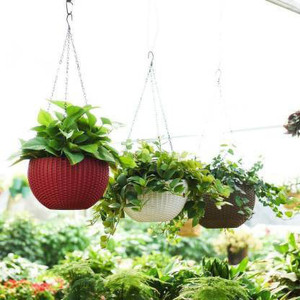 Digionics 3 PCS Hanging Baskets Rattan Waven Flower Pot Plant Pot with Hanging Houseplants Garden Balcony Decoration in Multicolor Plant Container Set (Pack of 3, Plastic) Plant Container Set (Pack of 3, Plastic) Plant Container Set