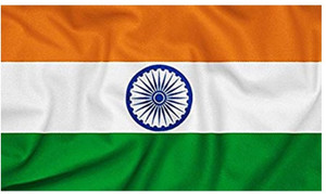 UNIQ India Rectangle Outdoor Flag