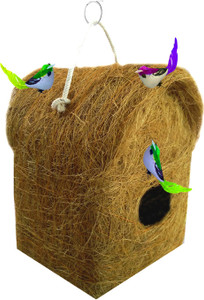 LIVEONCE 3birds with compact bird house -STRONG Bird House