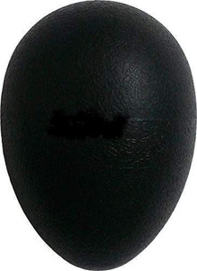 SG MUSICAL Egg Shakers