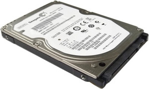 Seagate SGT320 320 GB Laptop Silver, Black SATA Internal Hard Disk