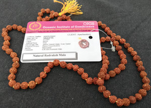 Apnisanskriti Lab Certified 5 Mukhi Rudraksha Mala for Men/Women Wearing (6mm, Medium Bead Size, 108+1 Beads) - 100% Natural Brown Rudraksha Beads Wood Chain