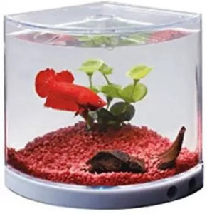 Dophin T201 Corner Pentagon Aquarium Tank (1.4 L) Corner Pentagon Aquarium Tank