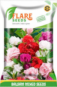 FLARE SEEDS BALSAM MIXED Seed