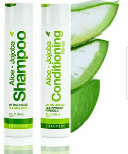 aloe vera temperaturen Tipps zur Pflege deiner Pflanze : Aloe Vera  PflanzenFuerAlle