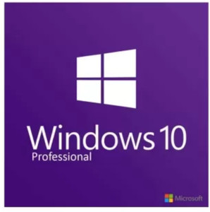 MICROSOFT Windows 10 Professional OEM 64 Bit DVD ( Seal Pack ...