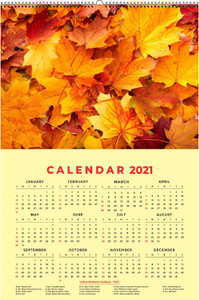 HD RAPID DESIGN Wall Calendar, Hanging Calendar (24 x 36 inch) for office, home_014 2021 Wall Calendar