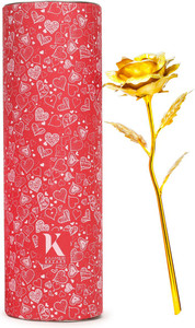 Kaameri Bazaar Artificial Flower Gift Set