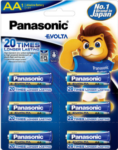 Panasonic LR6EGDG/1B6  Battery