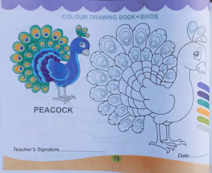 peacock drawing images with colour