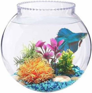 SAVORADE presenting shiny clear crystal fish aquarium and also for decoration tank_10i Round Ends Aquarium Tank