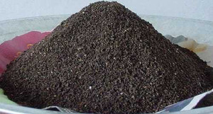 Blessy Vermicompost for plants Fertilizer