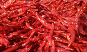 CHATOKDE Chilli Red Whole Premium Quality (Lal Mirch Sabut) Grade- Big Size (900 g)