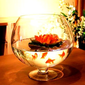 BILAL ANSARI Wine 7 Inch 11 Round Ends Aquarium Tank