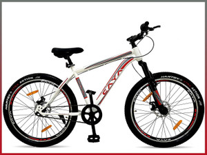 CAYA Fueled 24" Metallic Alpine White Dual Disc, Double Wall Alloy Rims, Front Shocker 24 T (inch) BMX Cycle