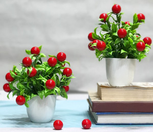 Litleo c rdb Artificial Fruit