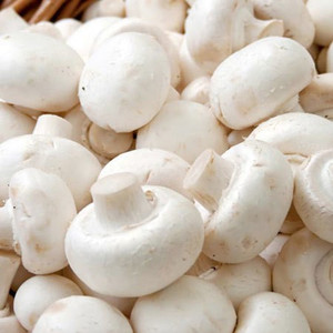 PLANTZON Mushroom Hybrid Seed