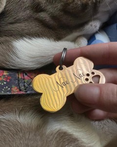 Luxury Brings Custom Name Bone Shaped Tag With Paw Print Engraved Gold Dog Tag