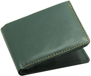 Tree Wood Men Travel, Trendy, Formal, Casual Green Genuine Leather Wallet
