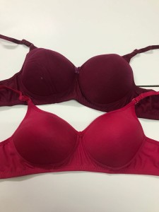 Womens Bra in Shimla - Dealers, Manufacturers & Suppliers - Justdial