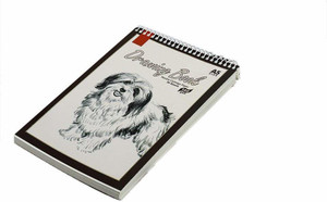 LRS Sketch Book A5 (Half of A4) (8*6 inch) - 50 Sheets(100 Pages) - Spiral Bound Sketch Pad