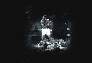 boxing wallpaper for bedrooms