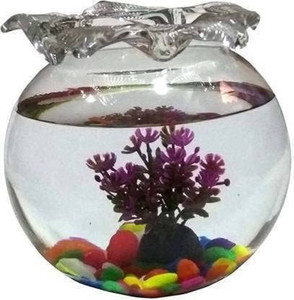 Virya Clear Glass with Jhallar Round Neck --10inches Round Ends Aquarium Tank
