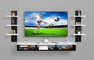 ERAWUD Engineered Wood TV Entertainment Unit