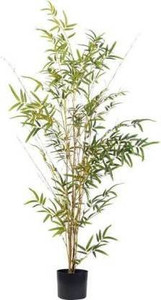 natikrd Two Layer Bamboo Plant