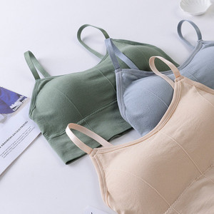 INFINIUM Women Everyday Lightly Padded Bra