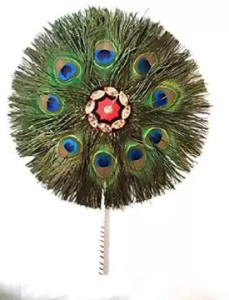 ZEDOFF Pack of 6 Decorative Feathers