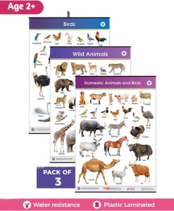 Target Publications Domestic & Wild Animals & Birds Charts for Kids|Learn about Pet & Tame|Set of 3