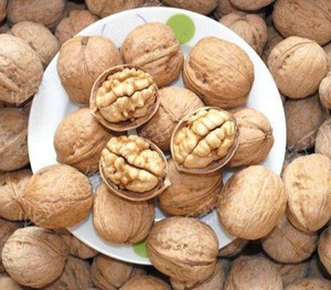 FreshoCartz California Walnuts with Shell | Whole Inshell Walnuts | Sabut Akhrot (200gm) Walnuts