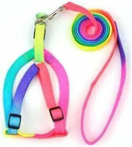 Woofy Rainbow Color Puppy Harness & Leash Set Small Dog Harness Leash Bell Dog & Cat Collar Charm