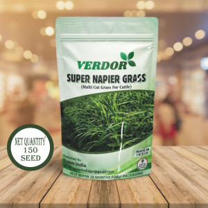 VERDOR SUPER NAPIER GRASS SEED HIGH YIELD (150 SEEDS) Seed