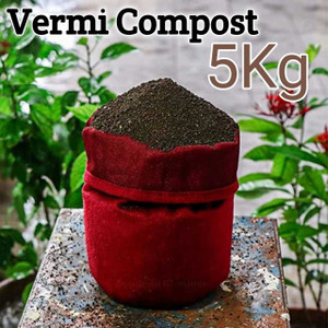 GreenLove 100% Pure and Organic Vermi Compost for Plants and Nursery Manure, Potting Mixture, Soil