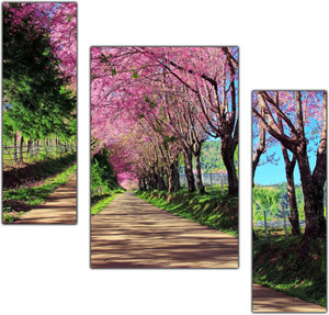 PnF Natural Landscape Scenery Set of 3 MDF Panel-1243- डिजिटल रीप्रिंट 12 inch x 18 inch पेंटिंग