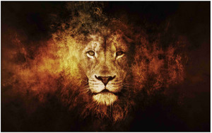 Lion Big Size Flex Poster For Room MD-4178 Photographic Paper
