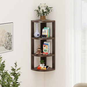BLUEWUD Alba Engineered Wood Open Book Shelf