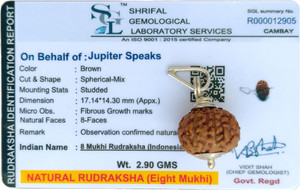 jupiter speaks 8 Mukhi Rudraksha Pendant Indonesia 17mm With Lab Certificate German Silver Cap Silver Wood Pendant