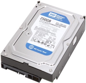 WD BLUE 250 GB Desktop Internal Hard Disk Drive (HDD) (250-BLUE-P)
