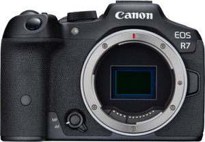 Canon EOS R7 (Body Only) — Cameras