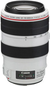 ■極上品■ CANON EF70-300mm F4-5.6L IS USM Canon EF 70-300mm f/4-5.6L is USM Zoom Lens for Canon Digital SLR