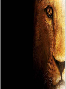 lion face desktop wallpaper
