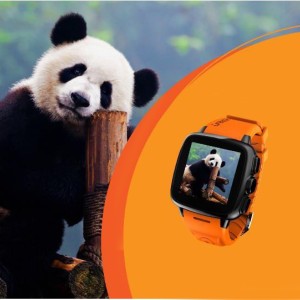 Intex irist hot sale smartwatch orange