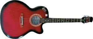 Signature 265 Semi-acoustic Guitar Tonewood Tonewood Right Hand Orientation