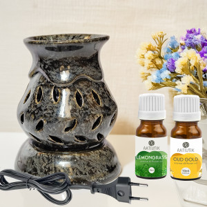 Aatiutik Lemongrass & Oud Gold Home Fragrance Oil Burner, Electric Air Freshener Aroma Diffuser Set, Aroma Oil Aroma Ceramic Electric Diffuser