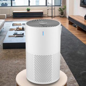 DIRIZO Air Purifier For Bedroom Cover 400 Ft² H13 With Carbon Filter Child-Lock TimeR Portable Room Air Purifier